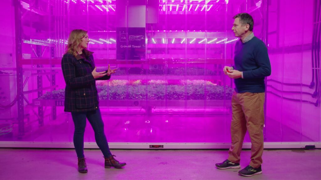 Two people talking in a pink-lit indoor vertical farm facility